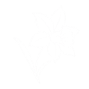 March - Visual Architecture
